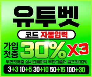 유투벳 보증 사이트 배너 300x250